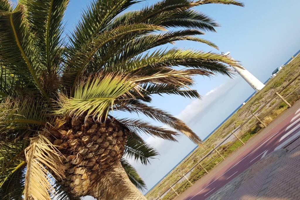 Front Beach Jandia Apartment مورو ذيل خابلِ المظهر الخارجي الصورة